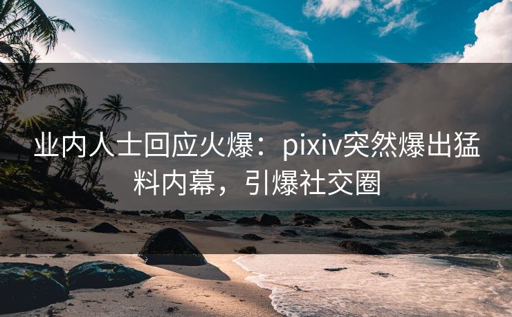 业内人士回应火爆：pixiv突然爆出猛料内幕，引爆社交圈