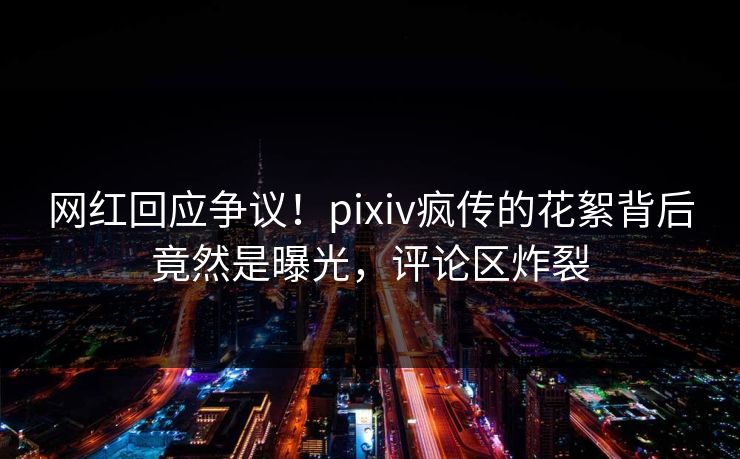 网红回应争议！pixiv疯传的花絮背后竟然是曝光，评论区炸裂