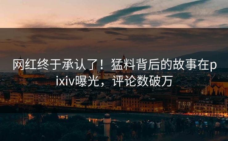网红终于承认了！猛料背后的故事在pixiv曝光，评论数破万