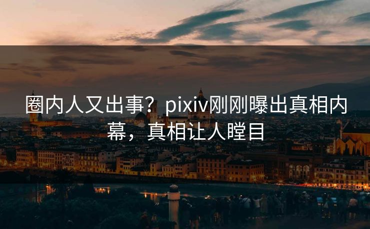圈内人又出事？pixiv刚刚曝出真相内幕，真相让人瞠目