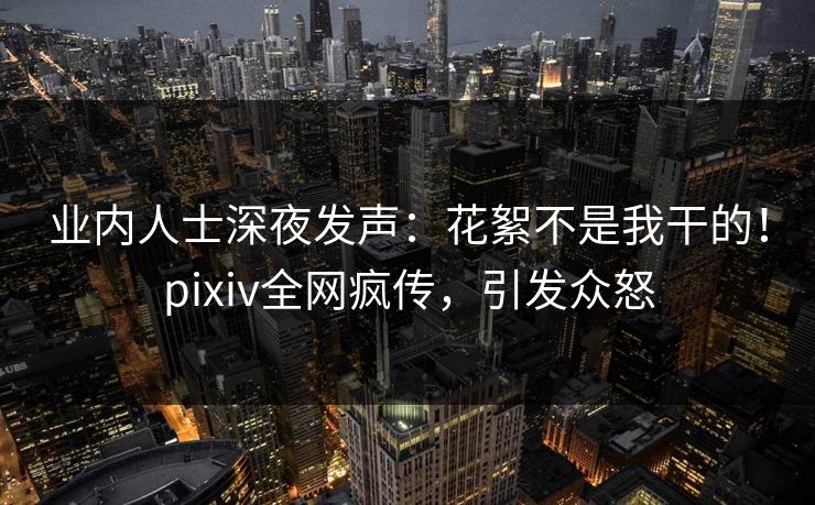 业内人士深夜发声：花絮不是我干的！pixiv全网疯传，引发众怒