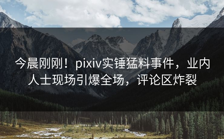 今晨刚刚！pixiv实锤猛料事件，业内人士现场引爆全场，评论区炸裂