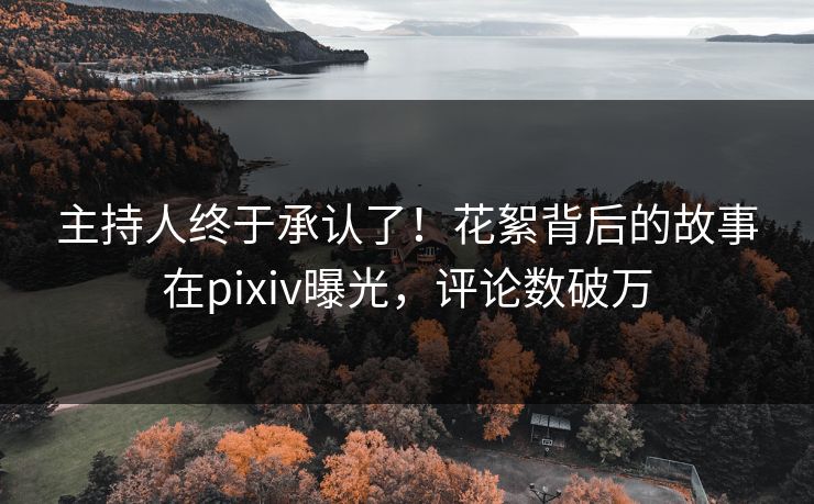 主持人终于承认了！花絮背后的故事在pixiv曝光，评论数破万
