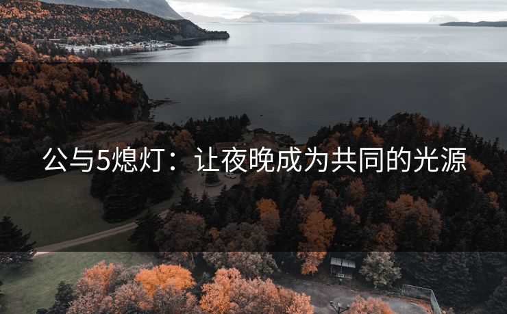 公与5熄灯：让夜晚成为共同的光源
