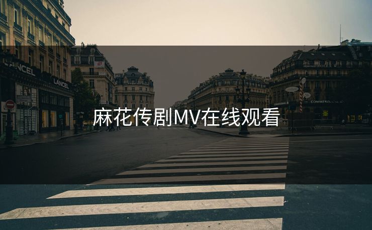麻花传剧MV在线观看