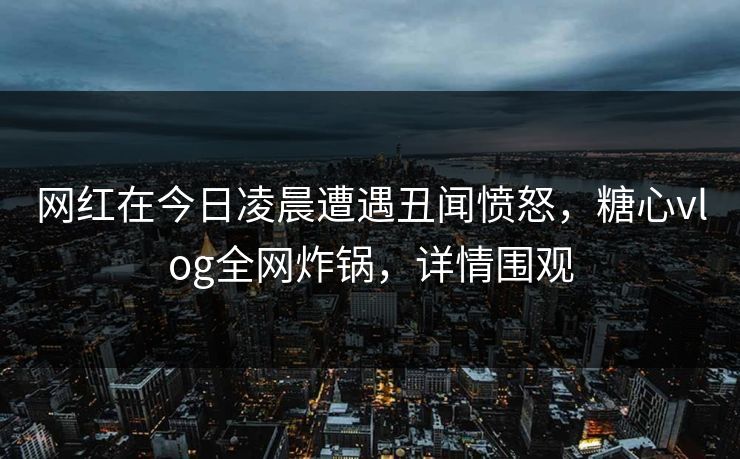 网红在今日凌晨遭遇丑闻愤怒，糖心vlog全网炸锅，详情围观
