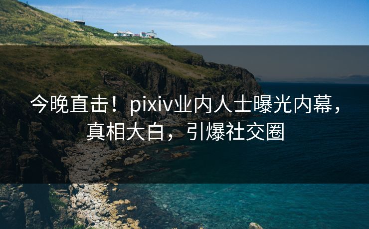 今晚直击！pixiv业内人士曝光内幕，真相大白，引爆社交圈
