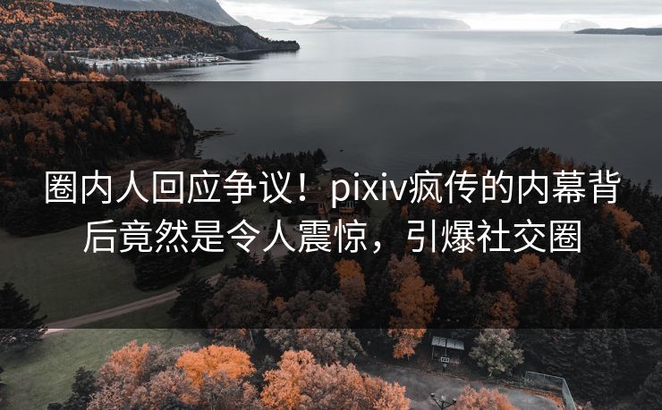 圈内人回应争议！pixiv疯传的内幕背后竟然是令人震惊，引爆社交圈