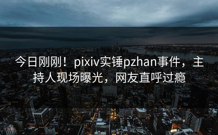 今日刚刚！pixiv实锤pzhan事件，主持人现场曝光，网友直呼过瘾