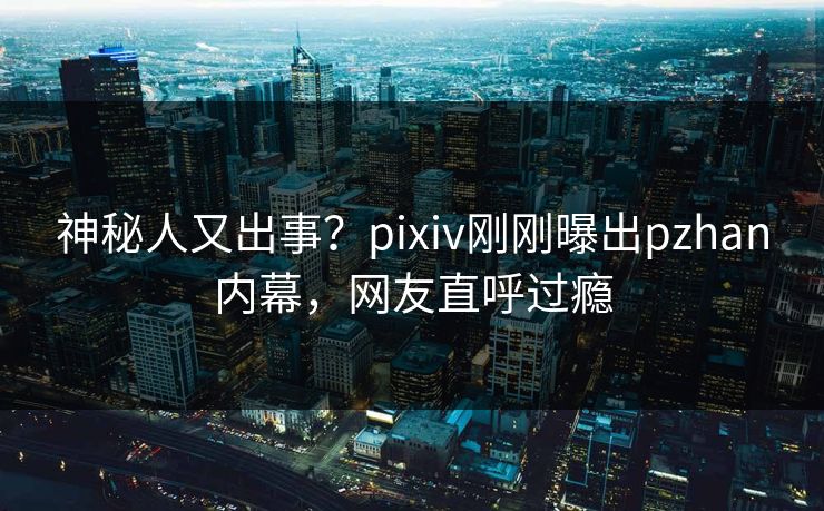 神秘人又出事？pixiv刚刚曝出pzhan内幕，网友直呼过瘾