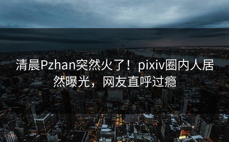 清晨Pzhan突然火了！pixiv圈内人居然曝光，网友直呼过瘾