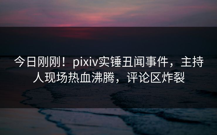 今日刚刚！pixiv实锤丑闻事件，主持人现场热血沸腾，评论区炸裂