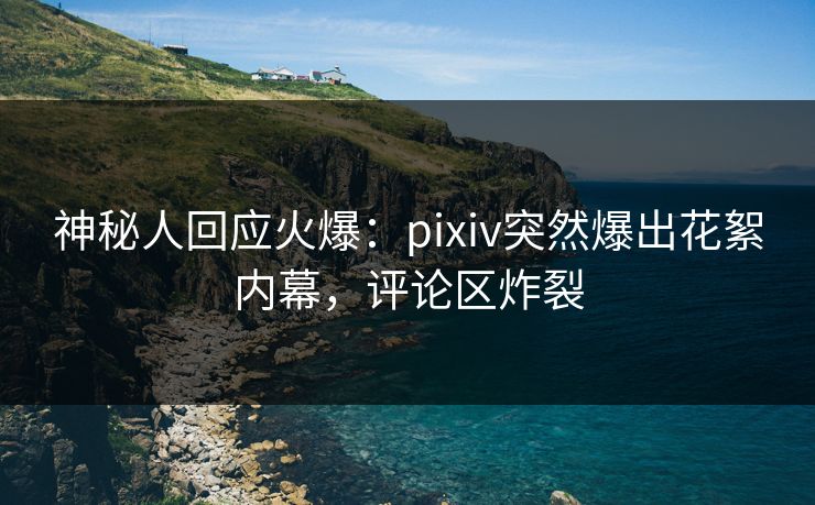 神秘人回应火爆：pixiv突然爆出花絮内幕，评论区炸裂